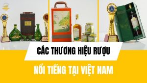 Cac-thuong-hieu-ruou-noi-tieng-o-Viet-Nam